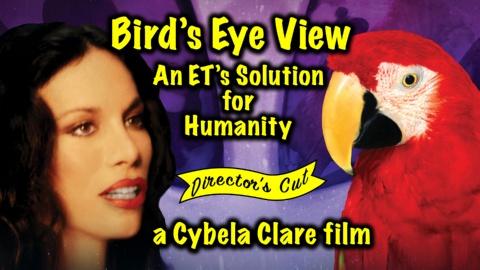 Bird S Eye View: An ETs Solution For Humanity (2021)