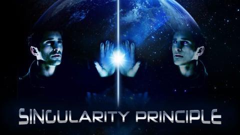 Singularity Principle (2013)